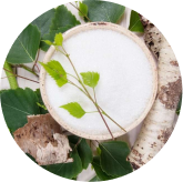 Xylitol in Phytomem One